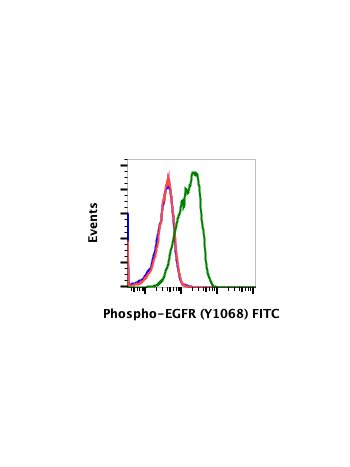 Phospho-EGFR (Tyr1068) (E5) rabbit mAb FITC conjugate