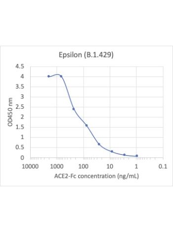 Concentration–response curves for binding of CoV2 spike protein to human ACE2 in cell-free ELISA-type assays. Microtiter wells were coated with 100 uL of each spike trimer at 2 ug/mL in PBS at 4˚C overnight. The wells were washed with PBS and blocked with