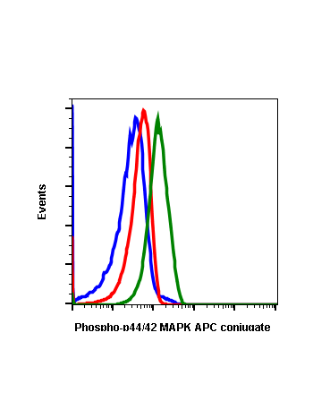 Flow cytometric analysis of Jurkat cells secondary antibody only negative control (blue) or treated with U0126 (red) or treated with TPA (green) using Phospho-ERK1/2 (Thr202/Tyr204) A11 APC antibody ERK12T202Y204-A11. Cat. #1114.