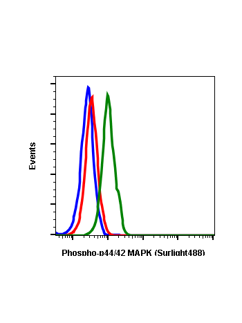 Flow cytometric analysis of Jurkat cells secondary antibody only negative control (blue) or treated with U0126 (red) or treated with TPA (green) using Phospho-ERK1/2 (Thr202/Tyr204) antibody ERK12T202Y204-A11 SureLight®488. Cat. #1115.