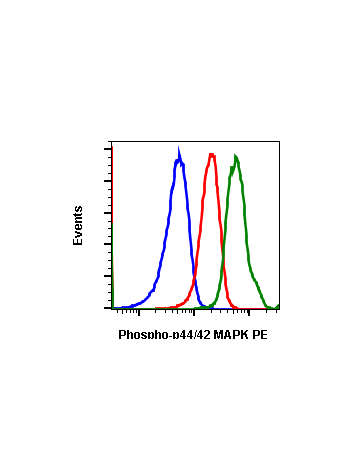Phospho-p44/42 MAPK (Erk1/2) (Thr202/Tyr204) (A11) rabbit mAb PE conjugate