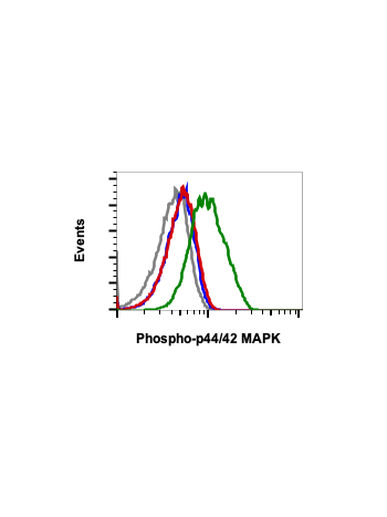 Flow cytomeric analysis of jurket cells treated with U0126 (red) or TPA (green) and stained using Phospho-ERK1/2 (Thr202/Tyr204) antibody ERK12T202Y204-A11. Cat. #1111 or concentration match isotope control Cat#2141 for cells treated with U0126 (gray) or 