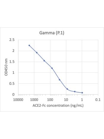 Concentration–response curves for binding of CoV2 spike protein to human ACE2 in cell-free ELISA-type assays. Microtiter wells were coated with 100 uL of each spike trimer at 2 ug/mL in PBS at 4˚C overnight. The wells were washed with PBS and blocked with