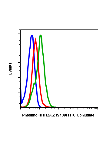Phospho-Histone H2A.X (Ser139) (1B3) rabbit mAb FITC conjugate