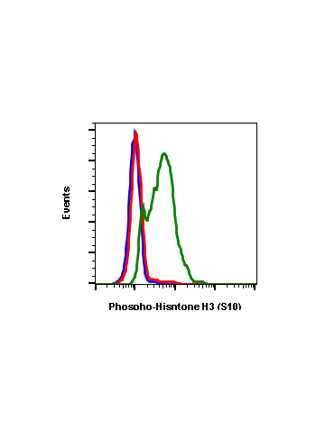 Phospho-Histone H3 (Ser10) (4B6) rabbit mAb