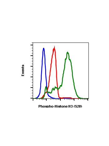 Phospho-Histone H3 (Ser28) (D6) rabbit mAb