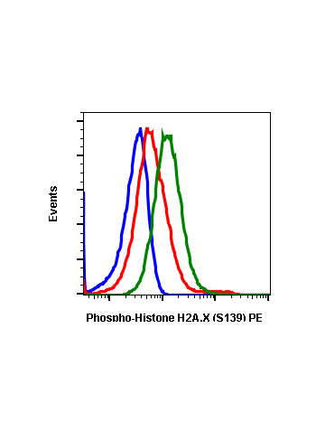 Phospho-Histone H2A.X (Ser139) (1B3) rabbit mAb PE conjugate
