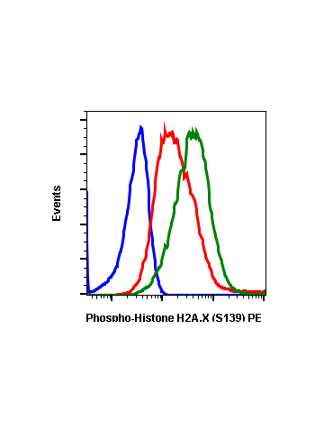 Phospho-Histone H2A.X (Ser139) (1E4) rabbit mAb PE conjugate