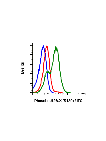Phospho-Histone H2A.X (Ser139) (1E4) rabbit mAb FITC conjugate