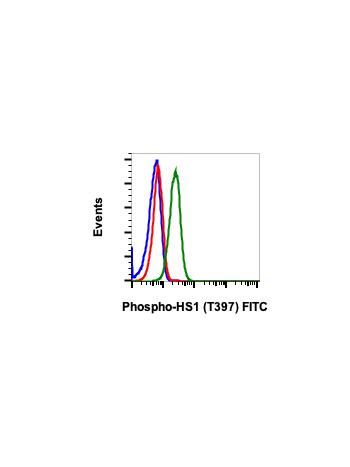 Flow cytometric analysis of Ramos cells untreated and unstained as negative control (blue) or untreated (red) or treated with pervanadate (green) and stained using Phospho-HS1 (Tyr397) FITC conjugated antibody HS1Y397-F12. Cat. #2398.
