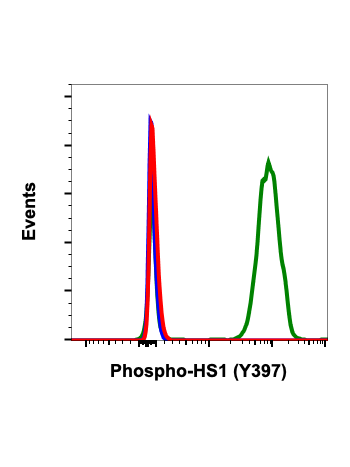 Phospho-HS1 (Tyr397) (F12) rabbit mAb