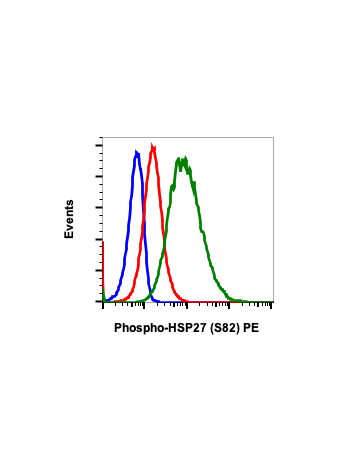 Flow cytometric analysis of HeLa cells unstained and untreated cells as as negative control (blue) or untreated (red) or treated with UV and TPA (green) and stained using Phospho-HSP27-CB2 (Ser82) antibody HSP27S82-CB2 PE conjugate at 0.05 ug/mL. Cat. #23