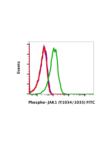 Flow cytometric analysis of Jurkat cells untreated (red) or treated with IFNα + IL-4 + pervanadate (green) using Phospho-Jak1 (Tyr1034/1035) (F11) Rabbit mAb (FITC Conjugate) Jak1Y10221023-F11 #2413, or concentration-matched Rabbit (G9) mAb IgG Isotype Co
