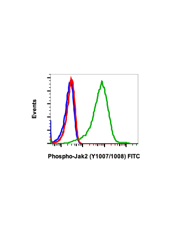 Flow cytometric analysis of Jurkat cells untreated (red) or treated with IFNa+IL4+pervanadate (green) using Phospho-Jak2 (Tyr1007/1008) (PB6) Rabbit mAb (FITC Conjugate) JAK2Y10071008-PB6 #2458, or concentration-matched Rabbit (G9) mAb IgG Isotype Control