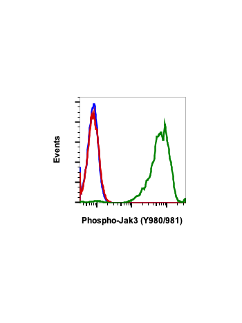 Flow cytometric analysis of Ramos secondary antibody only negative control (blue) or untreated (red) or treated with pervanadate (green) using phospho-Jak3 (Tyr980/981) antibody JAK3Y980981-E10, 0.01 µg/mL. Cat. #2471.