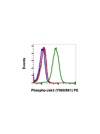 Phospho-Jak3 (Tyr980/981) (E10) rabbit mAb PE Conjugate