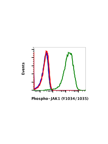 Flow cytometric analysis of Jurkat cells untreated (red) or treated with IFNa+ IL-4 + pervanadate (green) using Phospho-Jak1 (Tyr1034/1035) antibody Jak1Y10341035-F11 at 0.01µg/mL. Cat. #2411, or concentration matched isotope control, Cat# 2141 for untrea