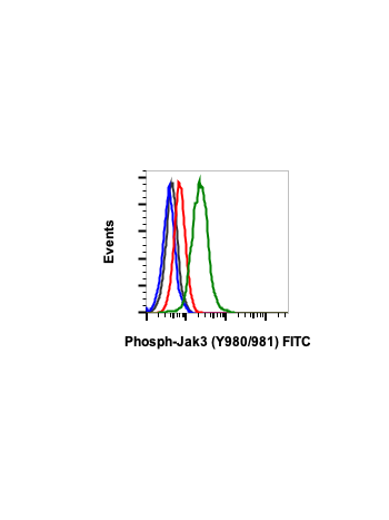 Phospho-Jak3 (Tyr980/981) (E10) rabbit mAb FITC conjugate