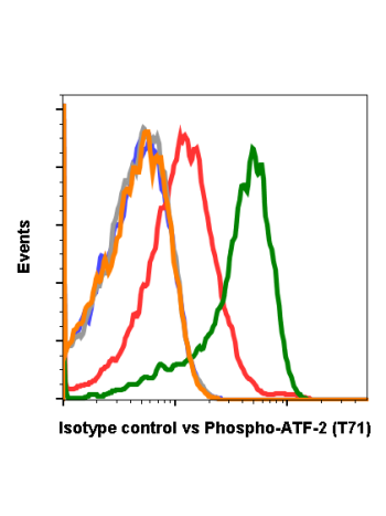 Isotype Control (G9) rabbit mAb