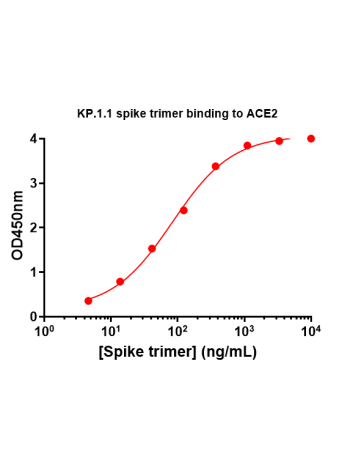 Concentration–response curves for binding of CoV2 spike protein to human ACE2 in cell-free ELISA-type assays. Microtiter wells were coated with 100 uL of ACE2-Fc at 2 ug/mL in PBS at 4˚C overnight. The wells were washed with PBS and blocked with 200 µL of