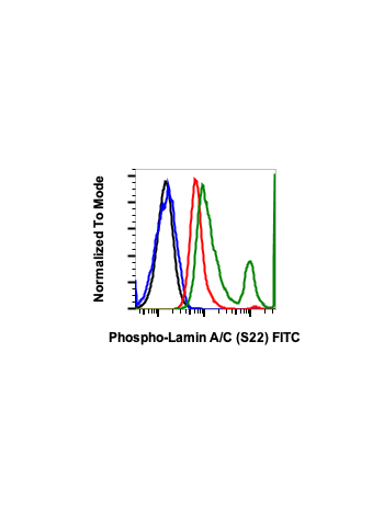 Phospho-Lamin A/C (Ser22) (CF12) rabbit mAb FITC conjugate