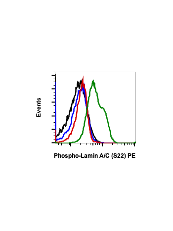Phospho-Lamin A/C (Ser22) (CF12) rabbit mAb PE conjugate