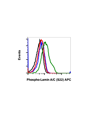 Phospho-Lamin A/C (Ser22) (CF12) rabbit mAb APC conjugate