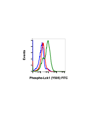 Phospho-Lck (Tyr505) (A3) rabbit mAb FITC conjugate