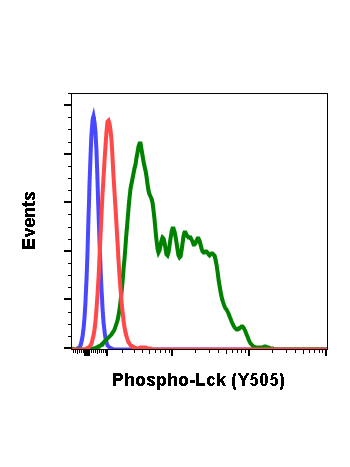 Phospho-Lck (Tyr505) (A3) rabbit mAb