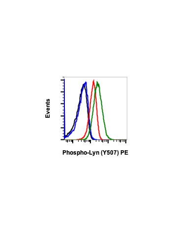 Phospho-Lyn (Tyr507) (5B6) rabbit mAb PE conjugate