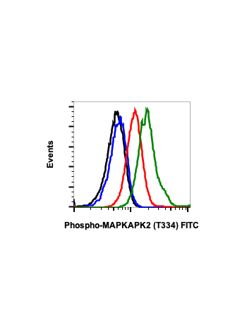 Phospho-MAPKAPK2 (Thr334) (H2) rabbit mAb FITC conjugate
