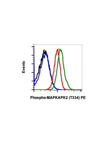 Phospho-MAPKAPK2 (Thr334) (H2) rabbit mAb PE conjugate
