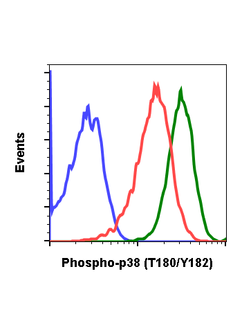 Phospho-p38 MAPK (Thr180/Tyr182) (E3) rabbit mAb