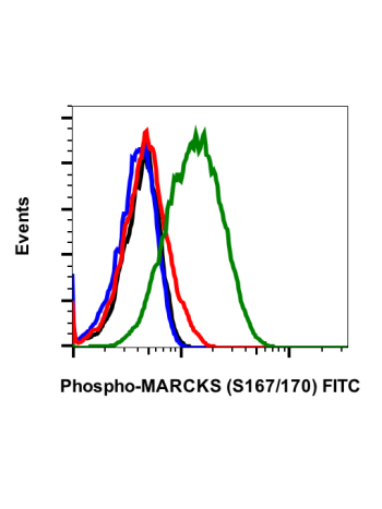 Phospho-MARCKS (Ser167/170) (C9) rabbit mAb FITC conjugate