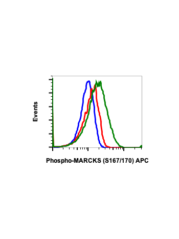 Phospho-MARCKS (Ser167/170) (C9) rabbit mAb APC conjugate