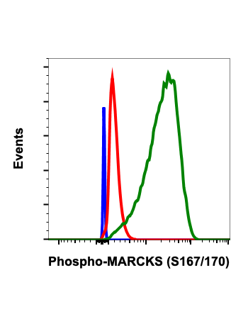 Flow cytometric analysis of C6 cells, secondary antibody only negative control (blue) or treated with staurosporine (red) or with UV+TPA (green) using Phospho-MARCKS (Ser167/170) antibody MARCKSS167170-C9 at 0.01 µg/mL. Cat. #2446.