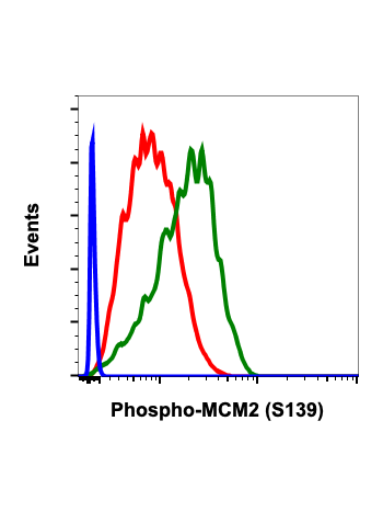 Phospho-MCM2 (Ser139) (B12) rabbit mAb