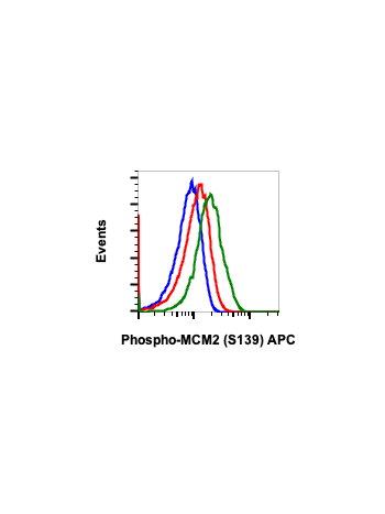 Phospho-MCM2 (Ser139) (B12) rabbit mAb APC conjugate