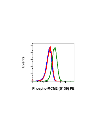 Phospho-MCM2 (Ser139) (B12) rabbit mAb PE conjugate