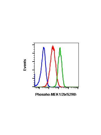 Phospho-MEK1 (Ser298) (H8) rabbit mAb