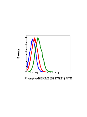 Phospho-MEK1/2 (Ser217/221) (H2) rabbit mAb FITC conjugate