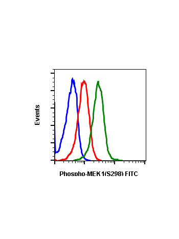 Phospho-MEK1 (Ser298) (H8) rabbit mAb FITC conjugate