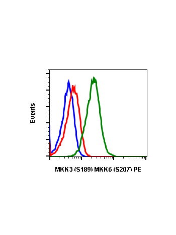 Phospho-MKK3 (S189)/MKK6 (S207) (D3) rabbit mAb PE conjugate