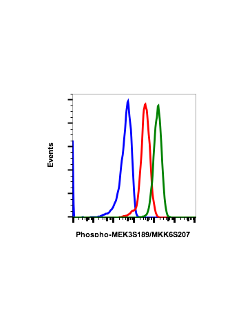 Phospho-MKK3 (Ser189)/MKK6 (Ser207) (D3) rabbit mAb