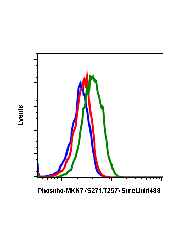 Phospho-MKK7 (Ser271/Thr275) (R4F9) rabbit mAb SureLight 488 conjugate