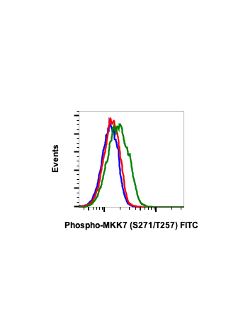 Phospho-MKK7 (Ser271/Thr275) (R4F9) rabbit mAb FITC conjugate