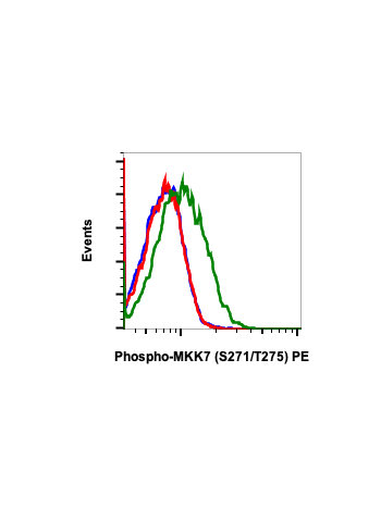 Phospho-MKK7 (Ser271/Thr275) (R4F9) rabbit mAb PE conjugate