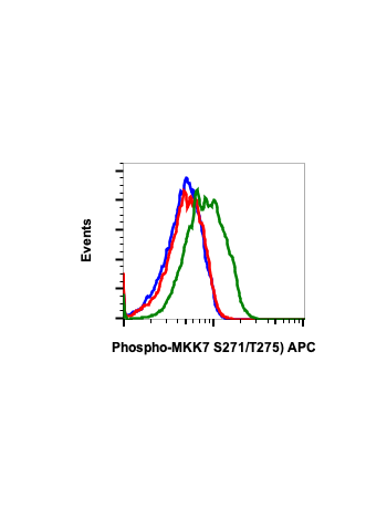 Phospho-MKK7 (Ser271/Thr275) (R4F9) rabbit mAb APC conjugate