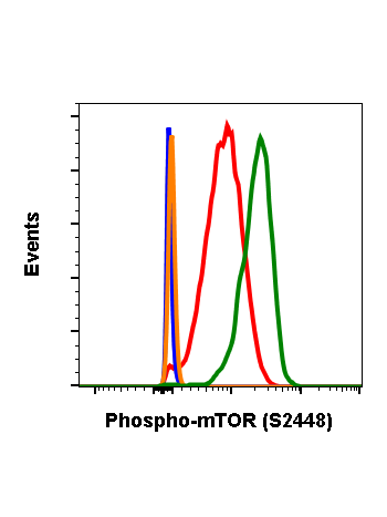 Phospho-mTOR (Ser2448) (E11) rabbit mAb