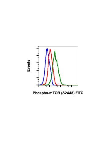 Phospho-mTOR (Ser2448) (E11) rabbit mAb FITC Conjugate